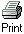 Print Page Icon